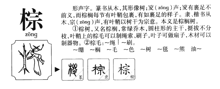 棕字字源