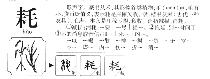 耗字字源