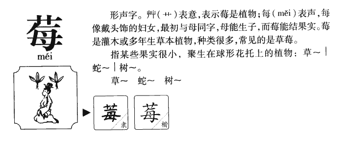 莓字字源