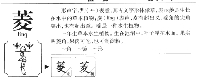 菱字字源