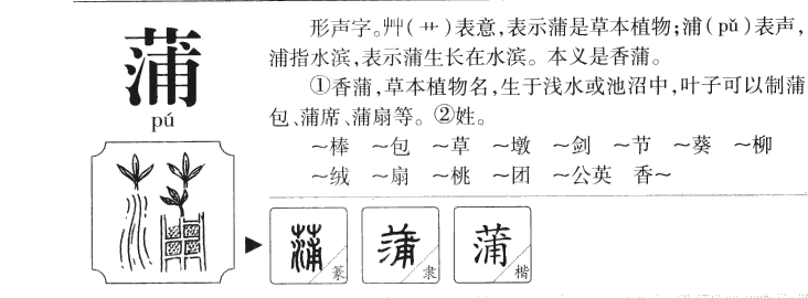 蒲字字源