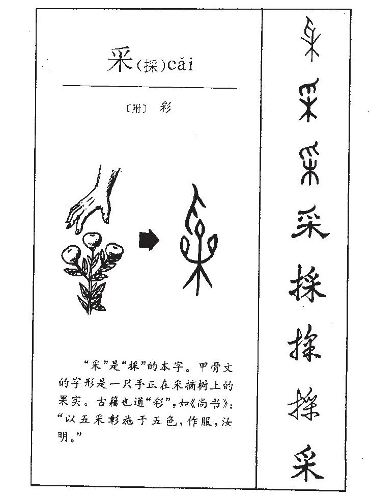 采字字源